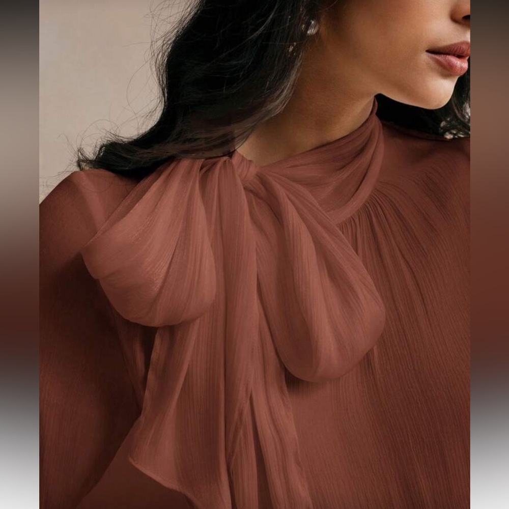 Elegant Brown Tie Neck Blouse